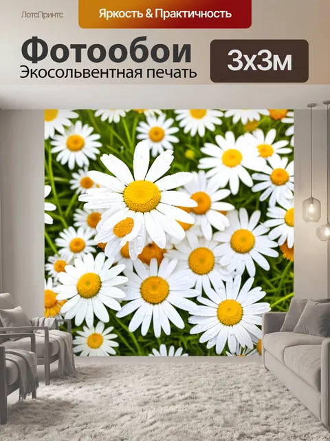 Фотообои цветы в стиле декоративная акварель, нежные цветы ромашки с роса на лепестках