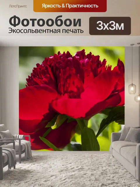 Фотообои Пион