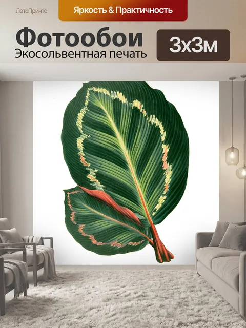 Фотообои Листва лист растение прозрачный