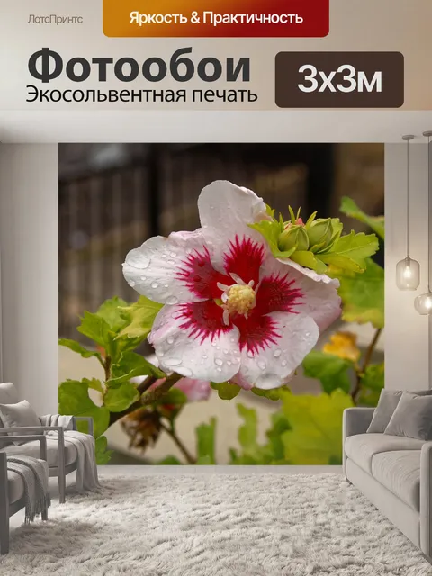 Фотообои Цветы 1