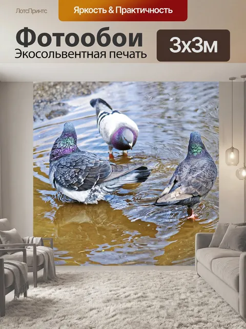 Фотообои Птицы