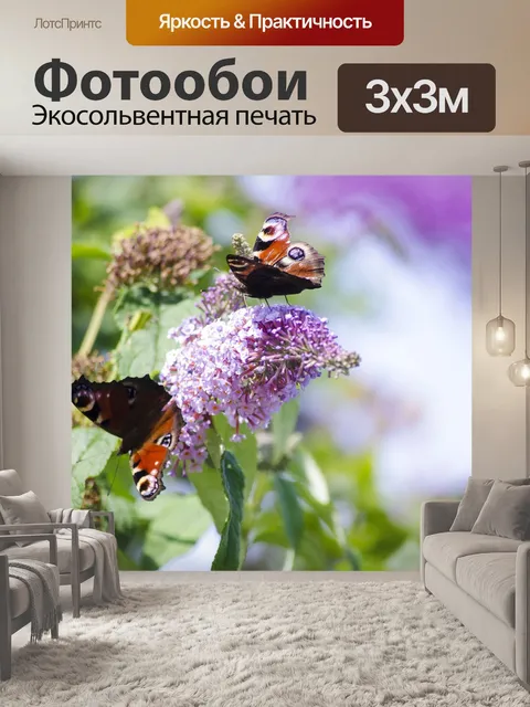 Фотообои Бабочки