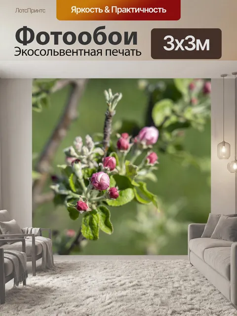 Фотообои Цветок