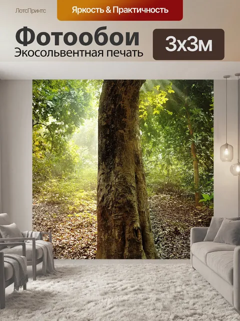 Фотообои Лесной фон 4