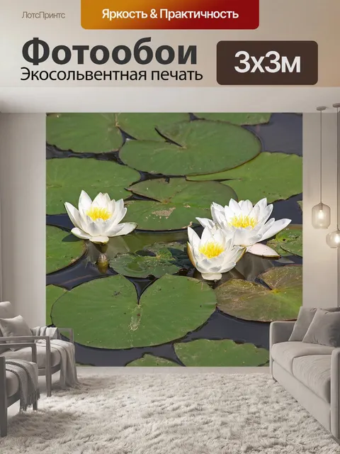 Фотообои Кувшинки пруду водные растения розы
