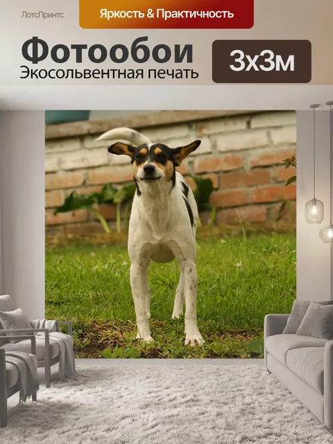 Фотообои Природа