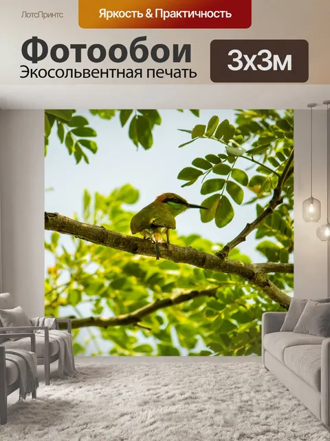Фотообои Рыбацкая птица