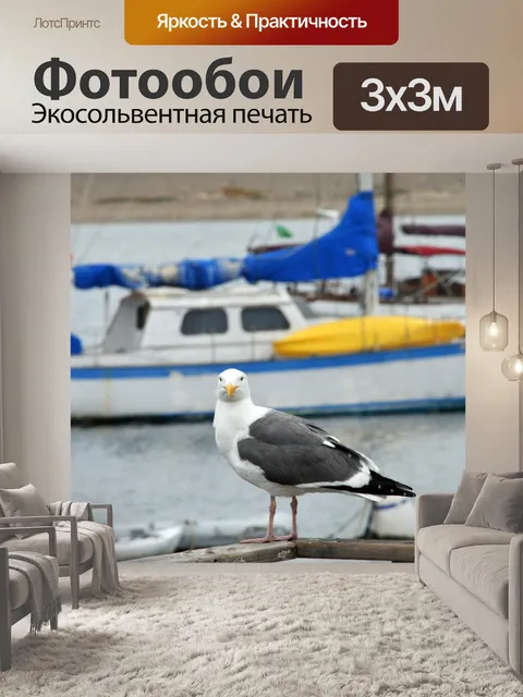 Фотообои Чайка в порту # 1