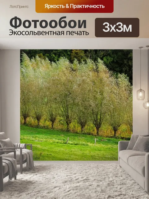 Фотообои Пастись