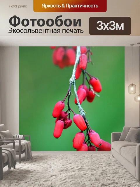 Фотообои Ягоды