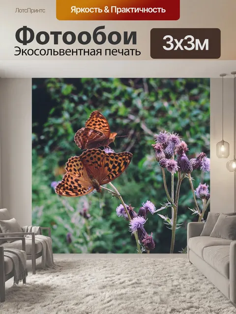 Фотообои Бабочка