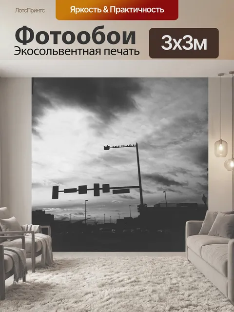 Фотообои Птицы