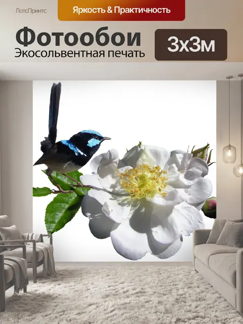 Фотообои Птица