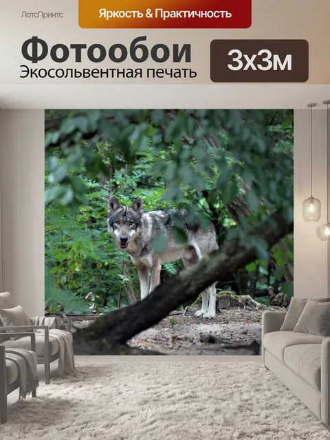 Фотообои Волк