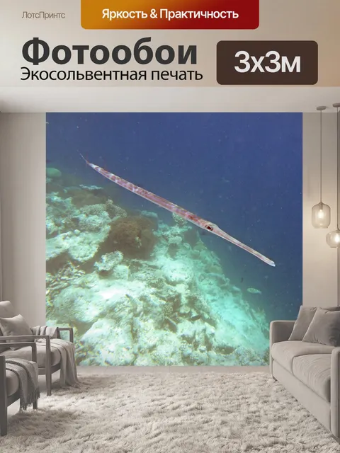 Фотообои Палка рыба