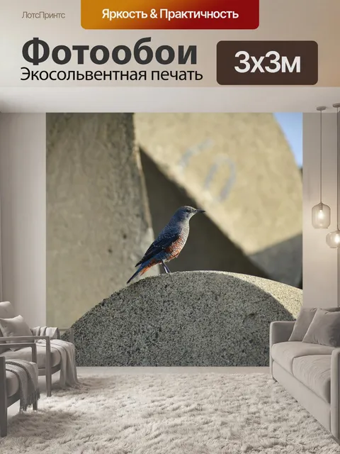 Фотообои Животное