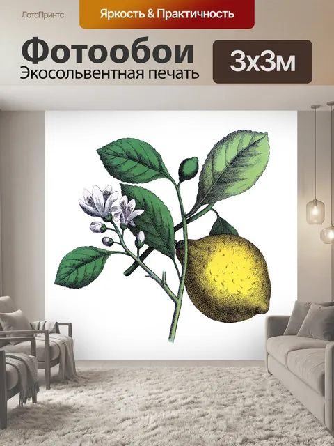 Фотообои Лимонный фрукт с цветком