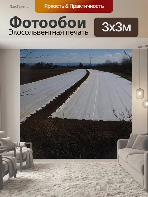 Фотообои Поля