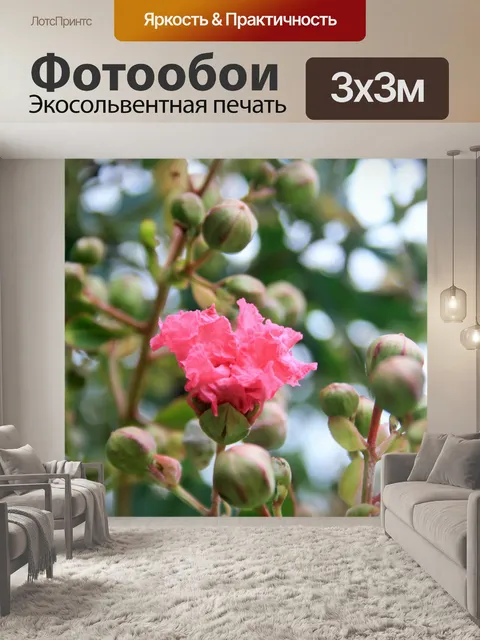 Фотообои розовый гордость Индии цветов и бутонов