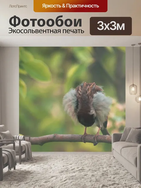 Фотообои Птица