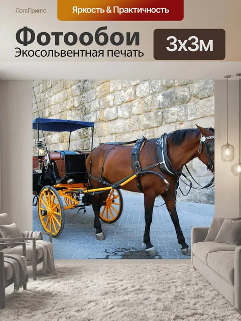 Фотообои Лошадь