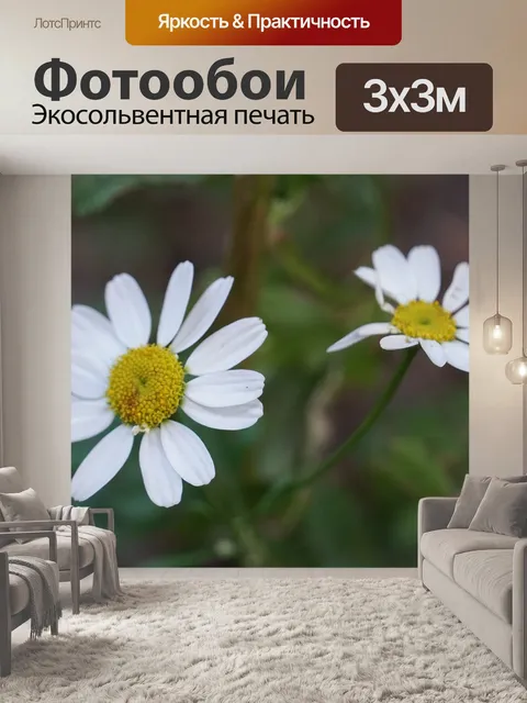 Фотообои Цветок