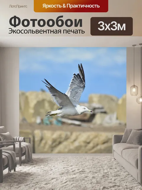 Фотообои Животное