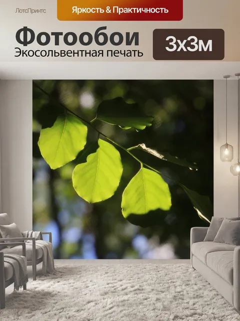 Фотообои Листья