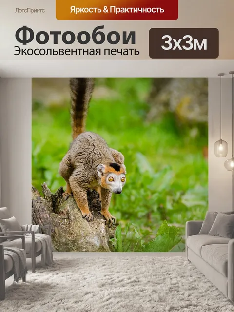 Фотообои Животное