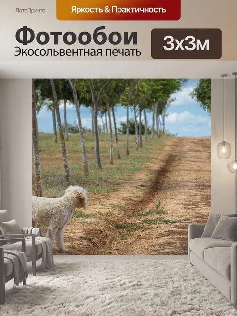 Фотообои Дерево