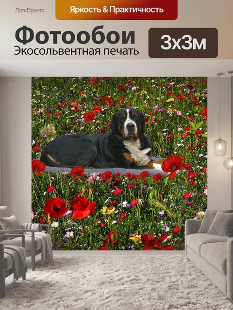 Фотообои Цветы