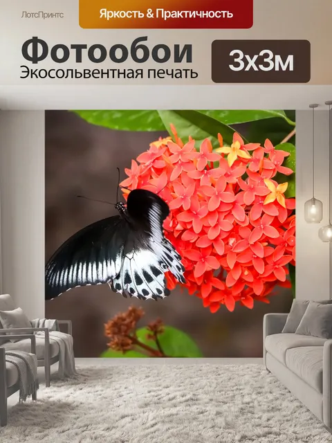 Фотообои Бабочка