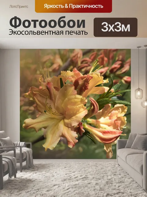 Фотообои Цветы