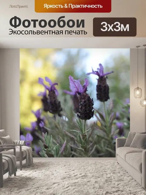Фотообои Цветы лаванда