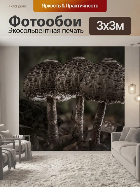 Фотообои Грибы