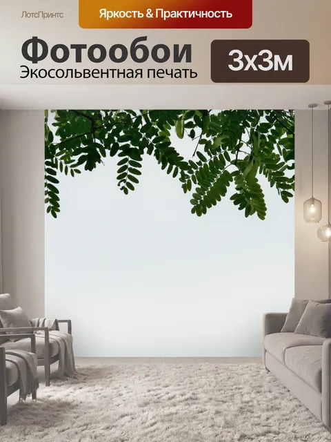 Фотообои Tipuana листья деревьев против неба