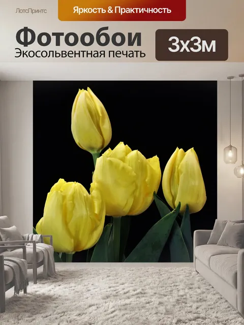 Фотообои Желтые тюльпаны на черном