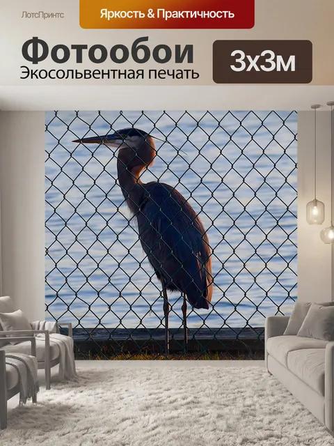 Фотообои Изгородь