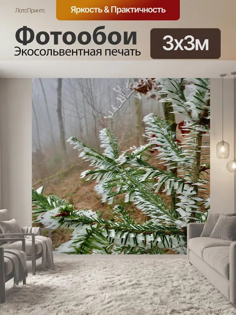Фотообои Лес