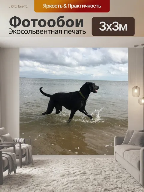 Фотообои Собака