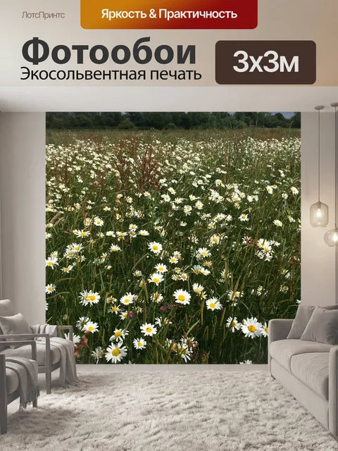Фотообои Ромашки