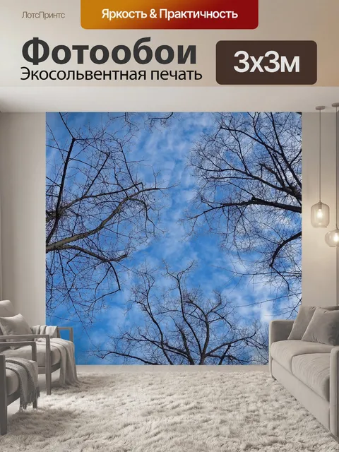Фотообои Деревья
