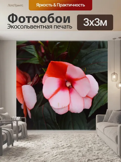 Фотообои Голландские цветы в садах 62