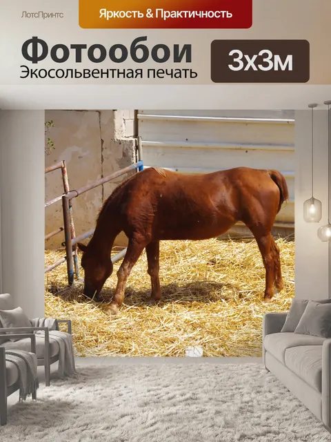Фотообои Лошади едят сено