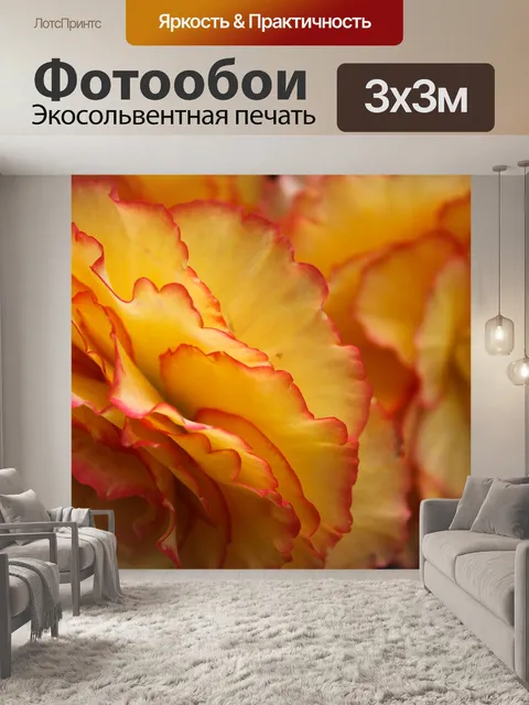 Фотообои Цветы