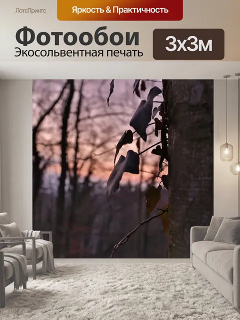 Фотообои Дерево
