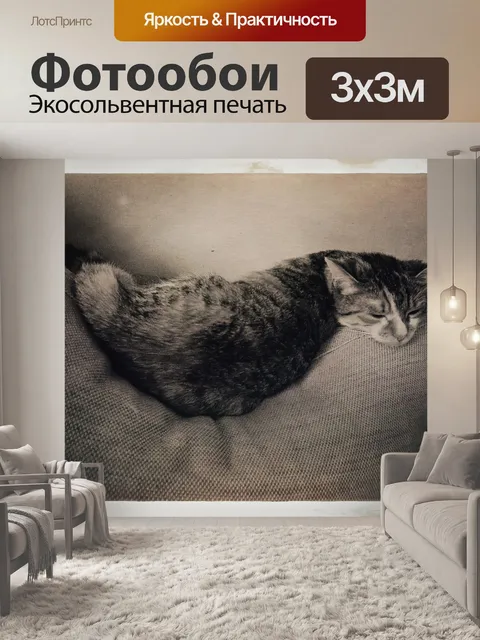 Фотообои Кошка