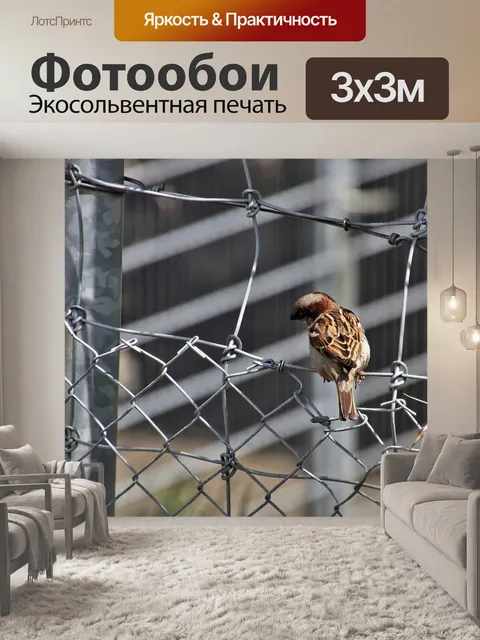 Фотообои Маленькая птица