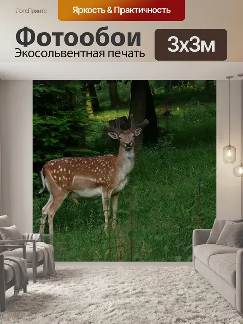 Фотообои Олень