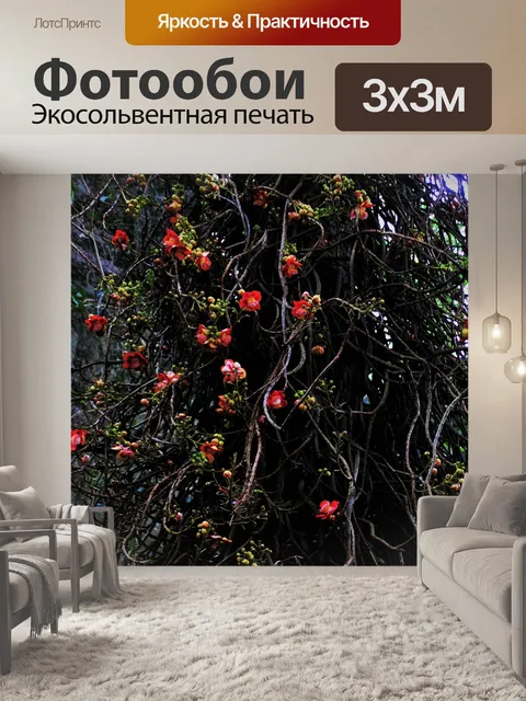 Фотообои Экзотические